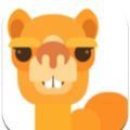 骆驼相册app自动加水印相册app官方版 v1.1.3