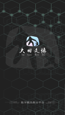 大国文博app官方版2