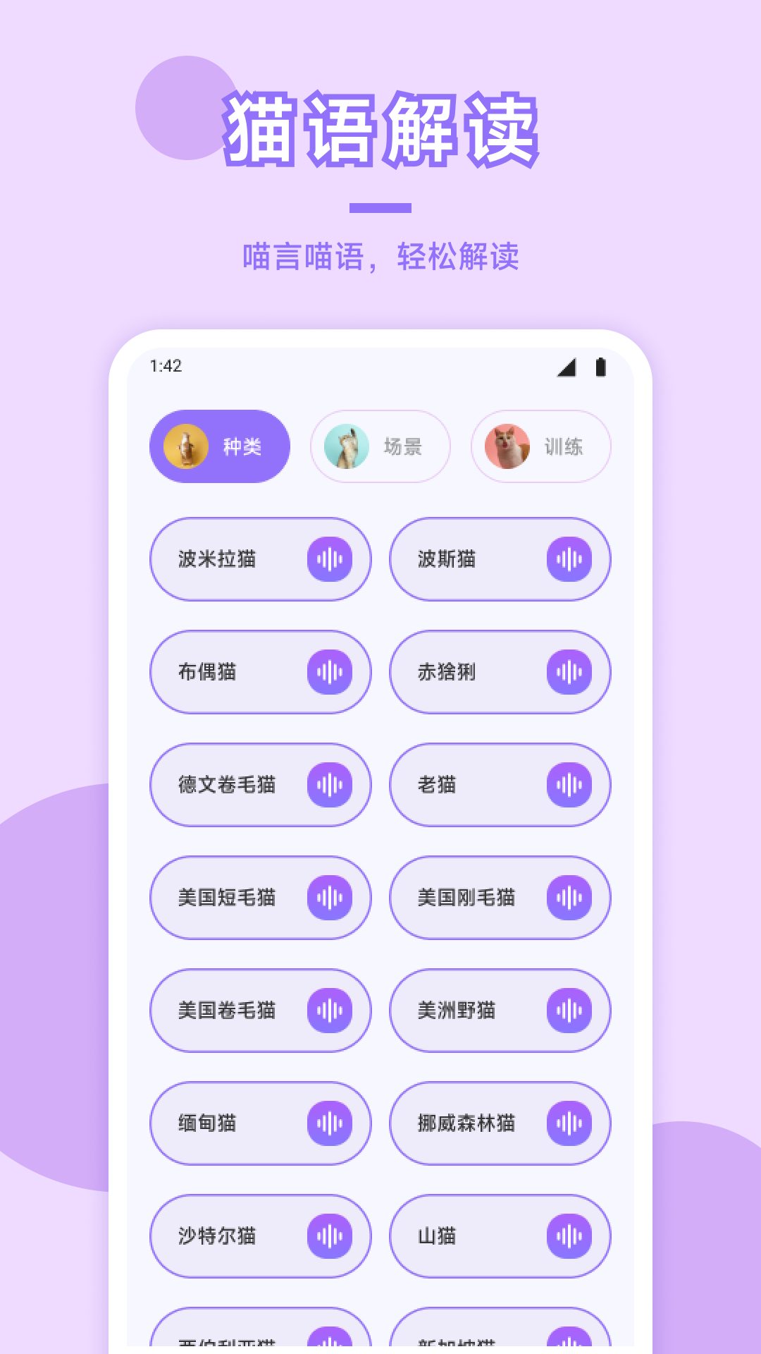 猫咪社区在线观看官网 下载4