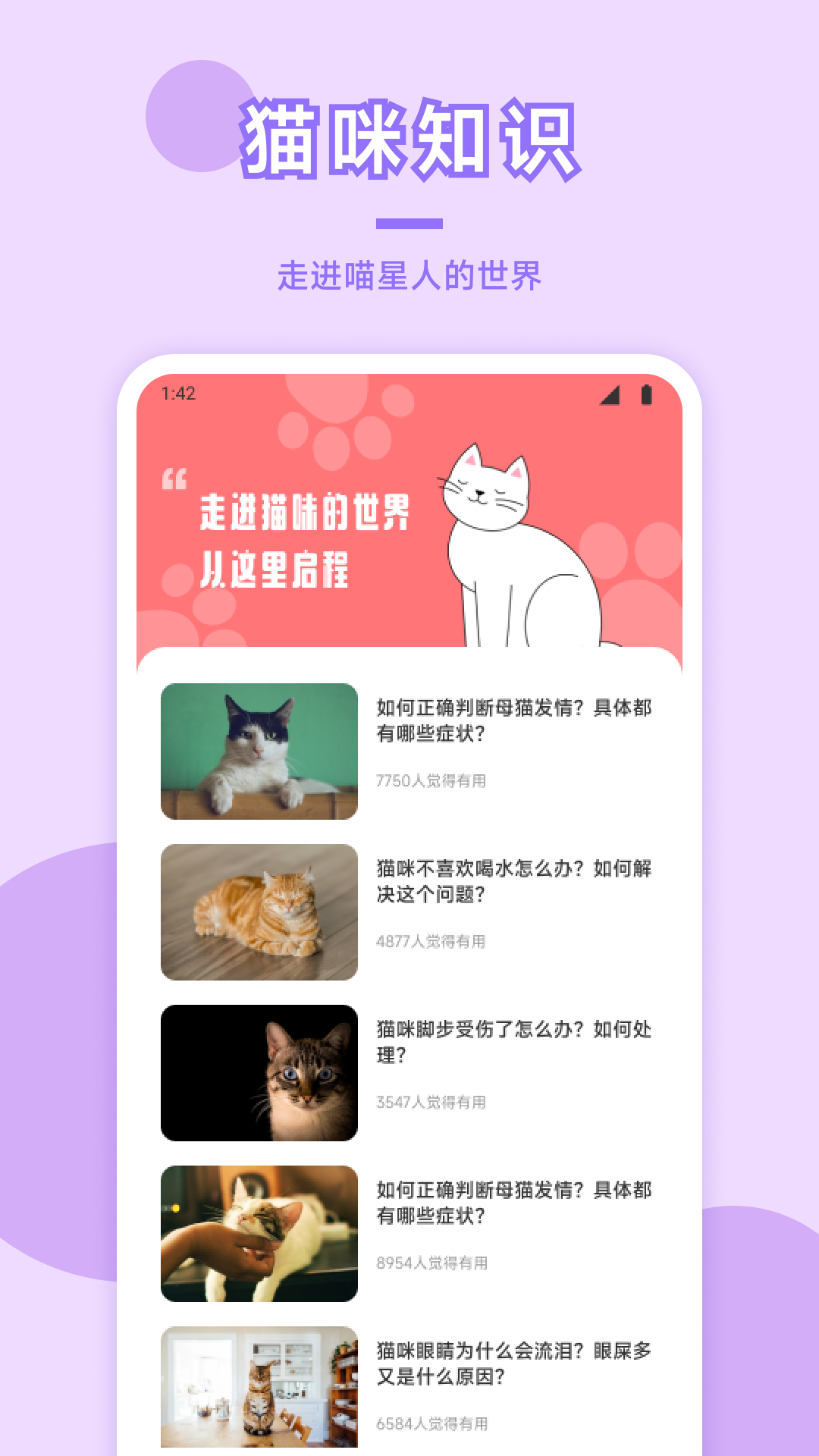 猫咪社区在线观看官网 下载3