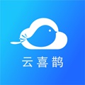 云喜鹊app官方版 v1.0.0