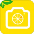 柠檬水印相机app安卓版