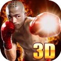 真实拳击对决3D游戏安卓版 v1.0