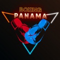 拳击巴拿马拳击格斗游戏安卓版 v2.0.8