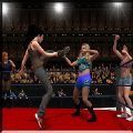 女子团体摔跤游戏安卓版