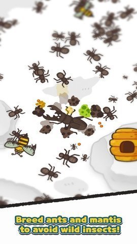 蚂蚁和螳螂闯关游戏官方版3