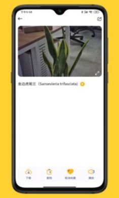 小mo乐园手机版3