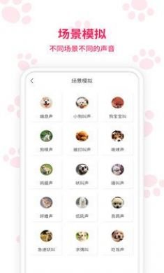 宠物翻译器手机版4