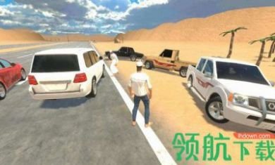 公路人生手机游戏汉化版(含数据包)2