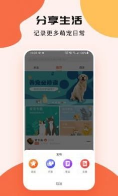 甜宠手机版4