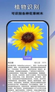 拍照识别免2