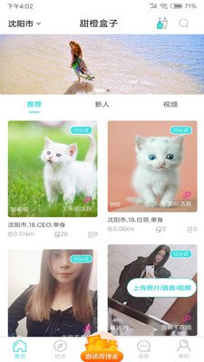 夏目Touch交友app官方版2