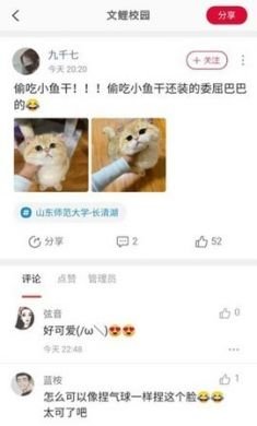 文鲤校园app2021最新版3