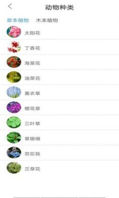 丛林宝典app官方版3