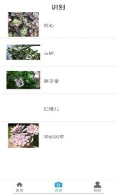 丛林宝典app官方版2