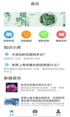 丛林宝典app官方版4