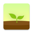 forest(专注森林)破解不限种树版