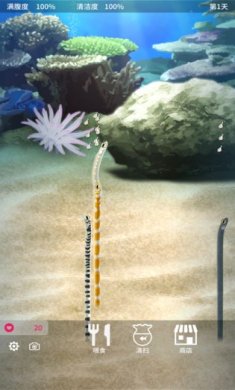 养育花园鳗的治愈手机游戏官方汉化版1