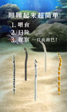 养育花园鳗的治愈手机游戏官方汉化版4