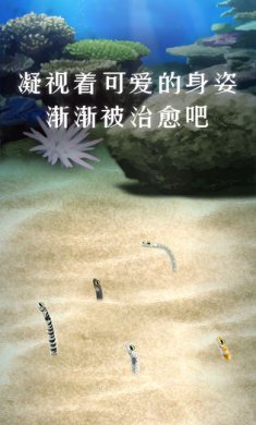 养育花园鳗的治愈手机游戏官方汉化版5