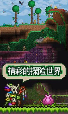 泰拉瑞亚1.3汉化破解版2