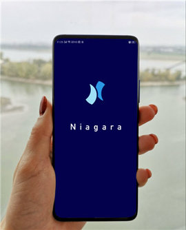 Niagara Launcher桌面启动器官方版3