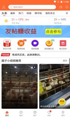 鸡病专业网论坛免费版4