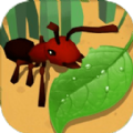 蚂蚁进化3D生存挑战游戏安卓版