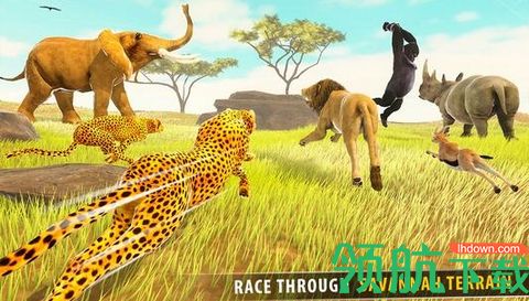 热带草原动物赛跑3D游戏(Furious Savanna Animal Race)免费版3