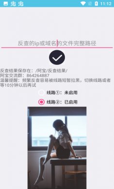 阿宝IP域名反查安卓版2