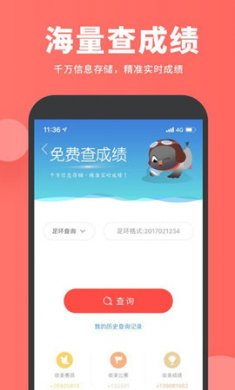 搜鸽网养鸽信息查询app手机版2
