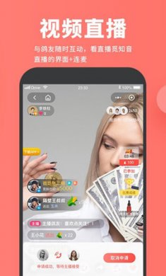 搜鸽网养鸽信息查询app手机版4
