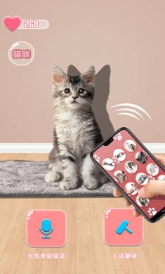 猫猫语言转换器app免费版2