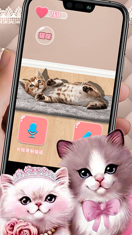 猫猫语言转换器app免费版4