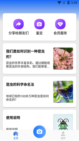 Picture Insect昆虫识别app手机版1