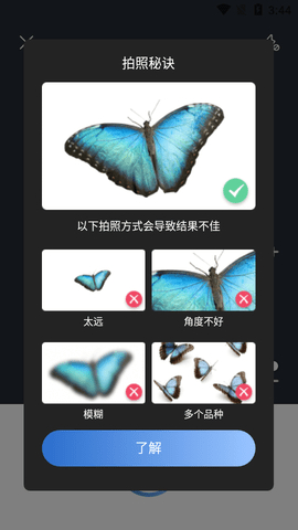 Picture Insect昆虫识别app手机版3