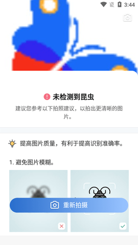 Picture Insect昆虫识别app手机版4