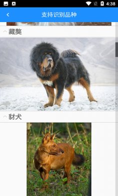 狗狗照片扫描仪app官方版2