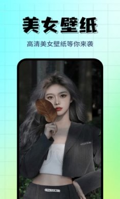 壁纸主题精选app最新版2