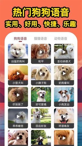 人人猫狗翻译交流器app中文版3