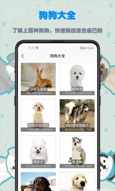 训狗宝典app官方版2