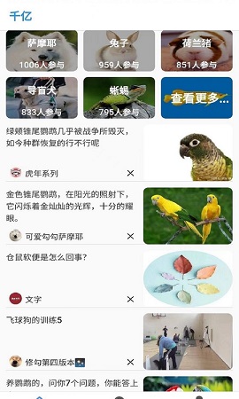 皁千韵亿宠物服务app官方版3
