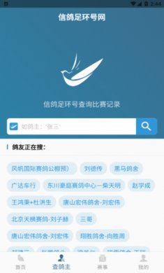查鸽网app手机版3