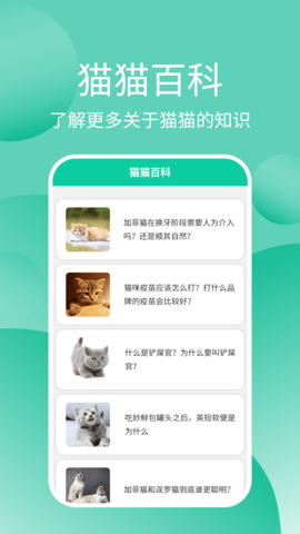 猫猫交流器app安卓版3