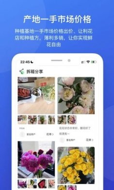 云选鲜花批发app免费版2