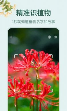 花草百科识别app官方版2