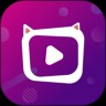 夜猫直播app官方