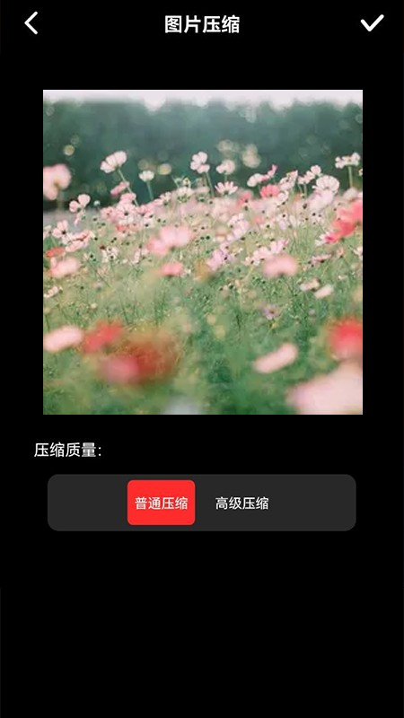 图像压缩器app最新版4